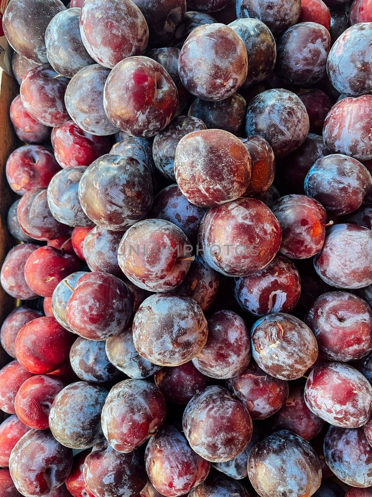 lots of ripe plum berry fruit for food as background
