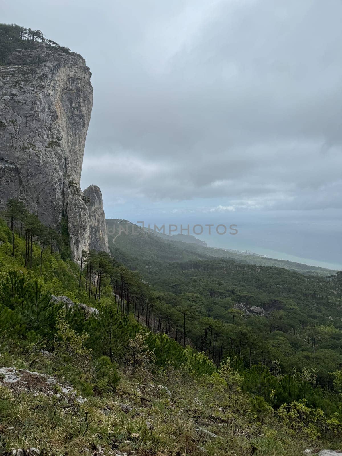 Beautiful mountain scenery and green forest from the top of the cliff