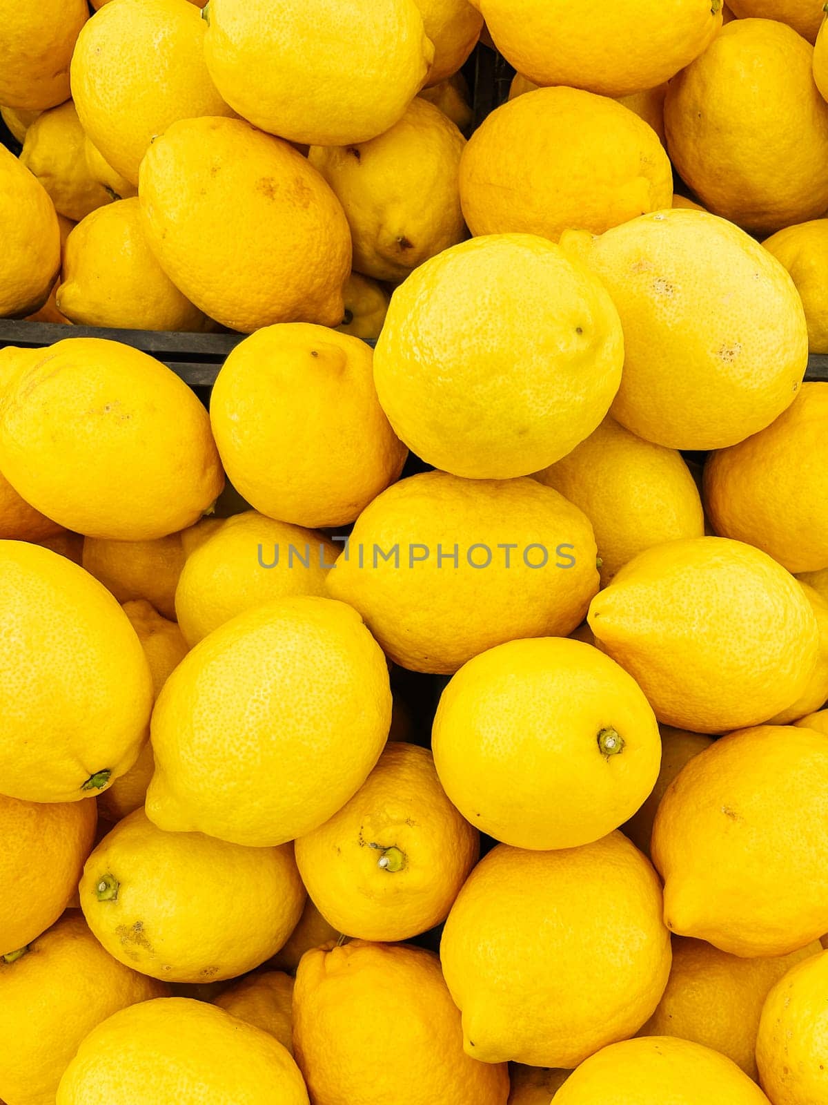 lots of ripe yellow lemon fruit for food as background