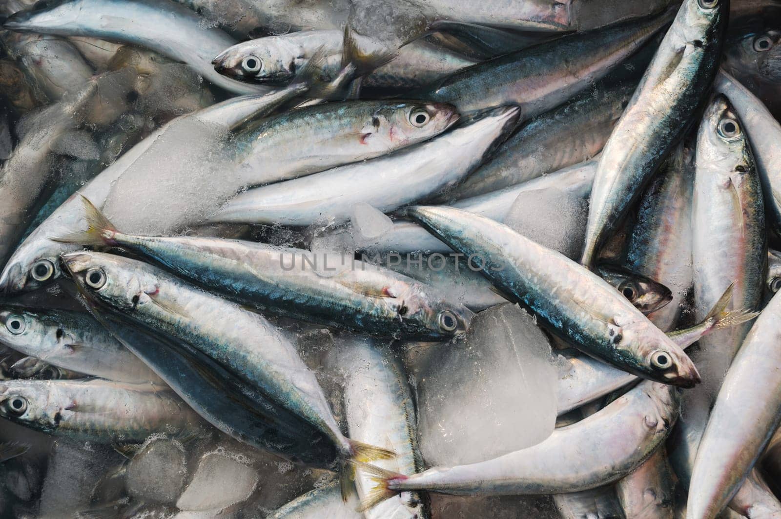 catch of fresh sea fish in ice in a container at the seafood market in Asia