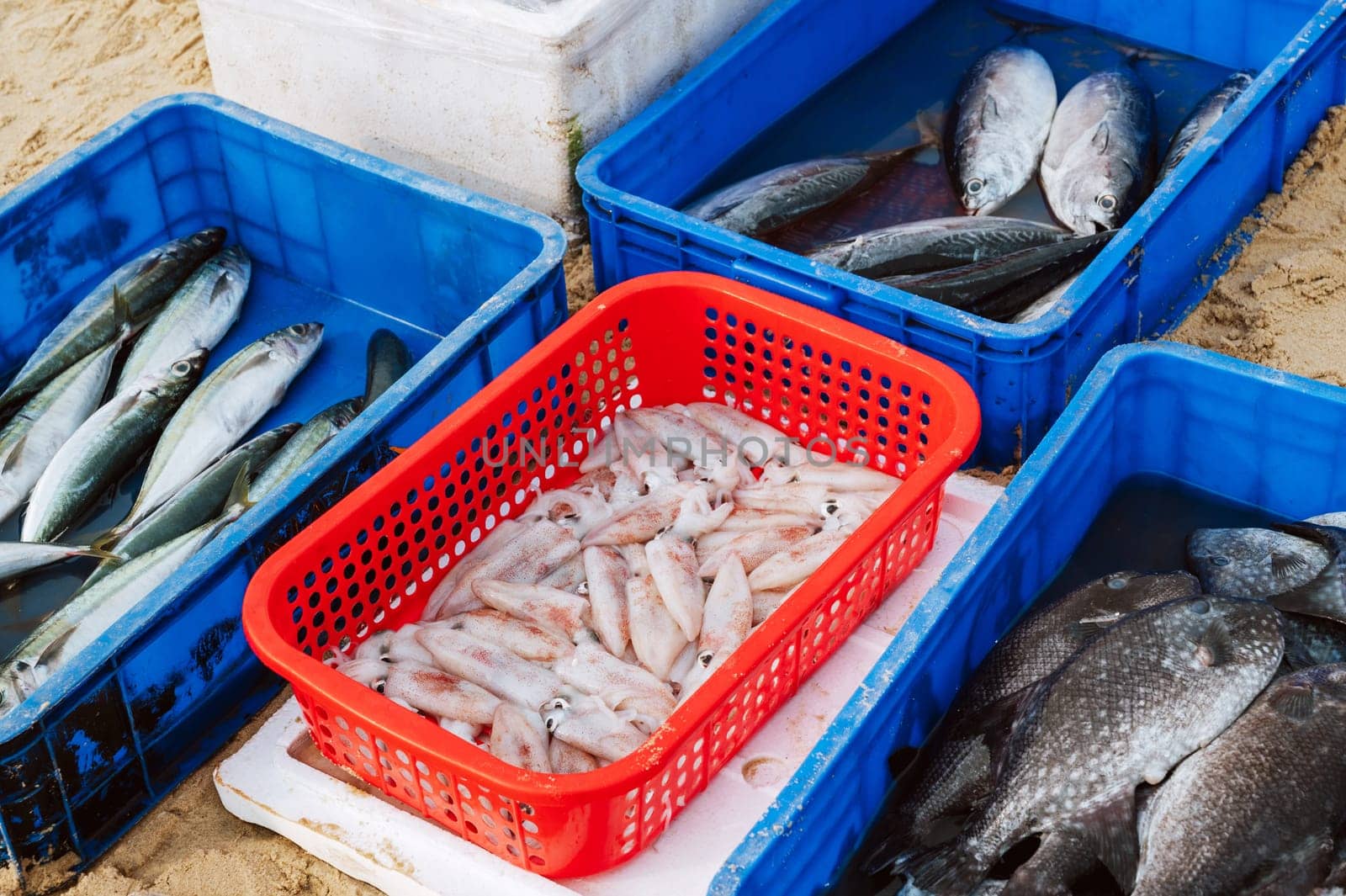catch of fresh fish and squid at the seafood market in Vietnam in Asia