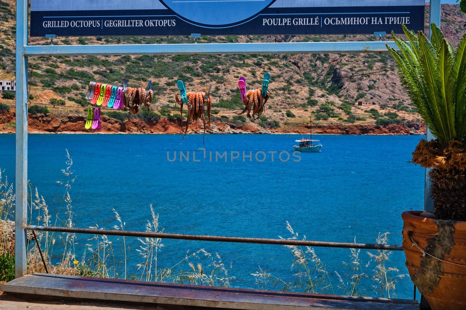 Traditional sun-dried octopuses clipped to rope with selective focus and typical Greek hills and fishermen's boat in background, calm sea, clear sunny summer day. Crete, Greece