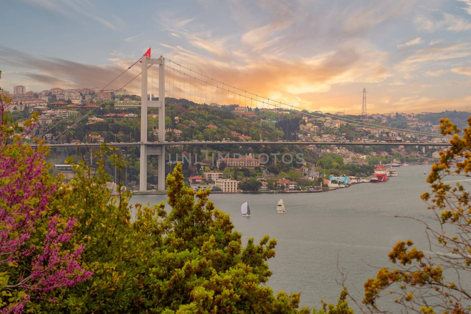 Aerial sunrise shot of Istanbul city from Fethi Pasha Grove overlooking Bosphorus strait, with Bosphorus Bridge, or Bogazici Koprusu, connecting Europe and Asia, Istanbul, Turkey