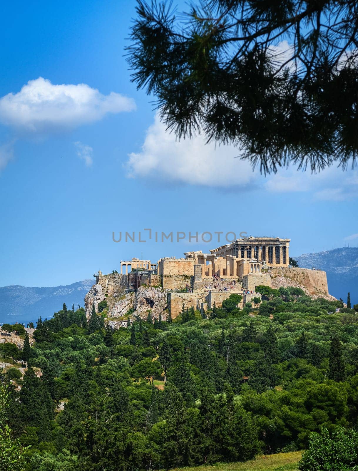 View of Acropolis hill with Propylaea and Parthenon Athens, Greece from Pnyx hill in summer daylight with great clouds in blue sky. Great fresh foliage of olives and cedar trees in foreground. Vertical shot