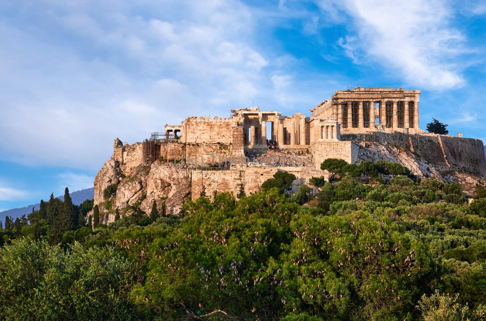 View of Acropolis hill with Propylaea and Parthenon in Athens, Greece from Pnyx hill in summer afternoon with great clouds in blue sky. Great fresh foliage of olives and cedar trees in foreground. Close shot. Awesome composition