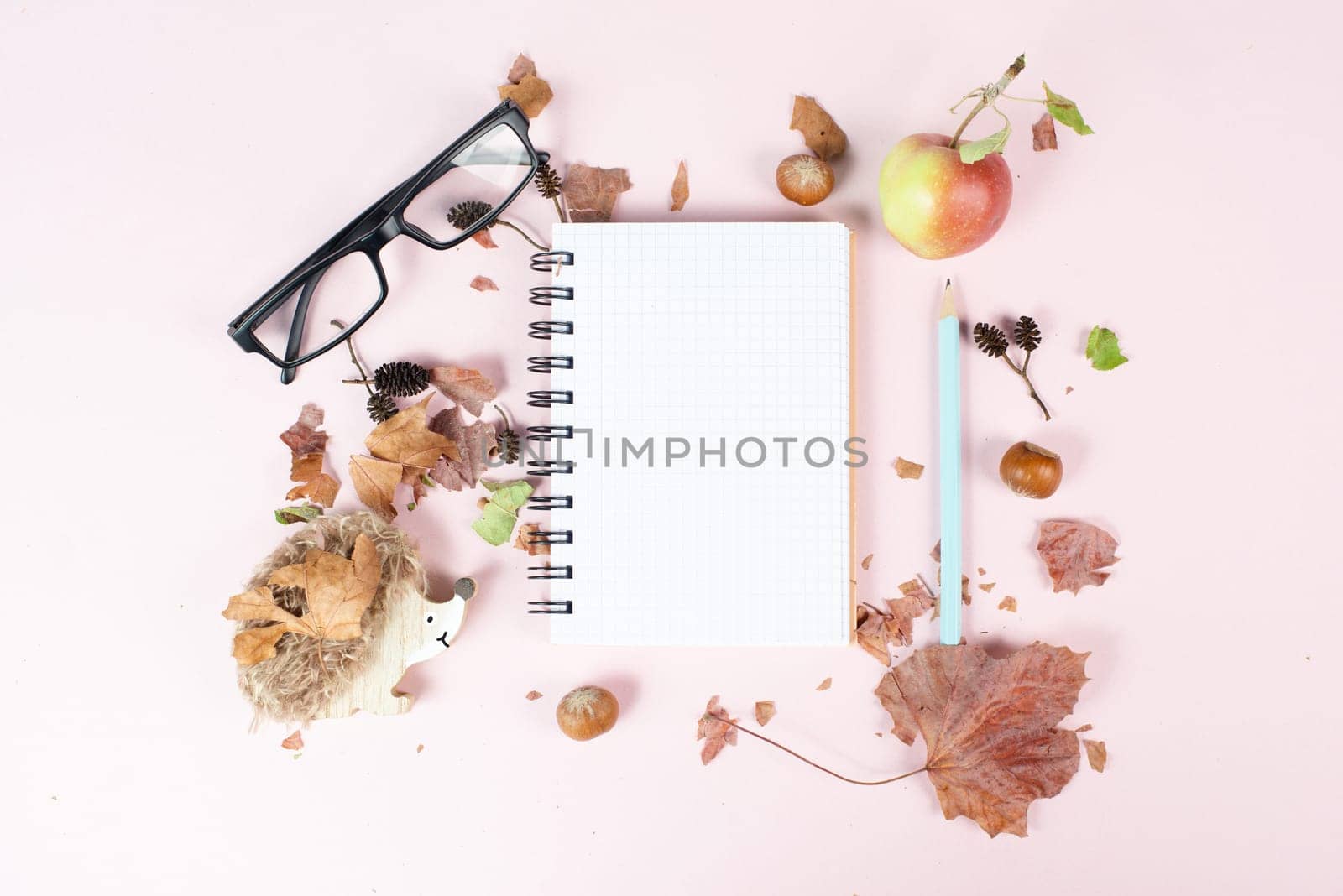 Empty notebook with eyeglasses, an apple and a hedgehog, autumn template with colorful leaves, office desk, pastel color