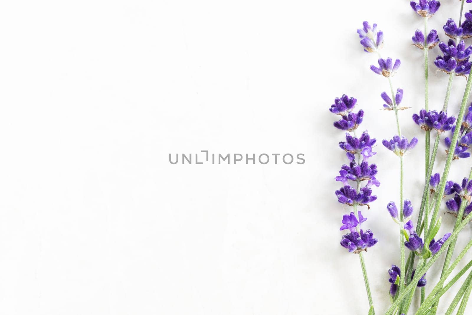 Lavendar flowers on marble surface with copy space.