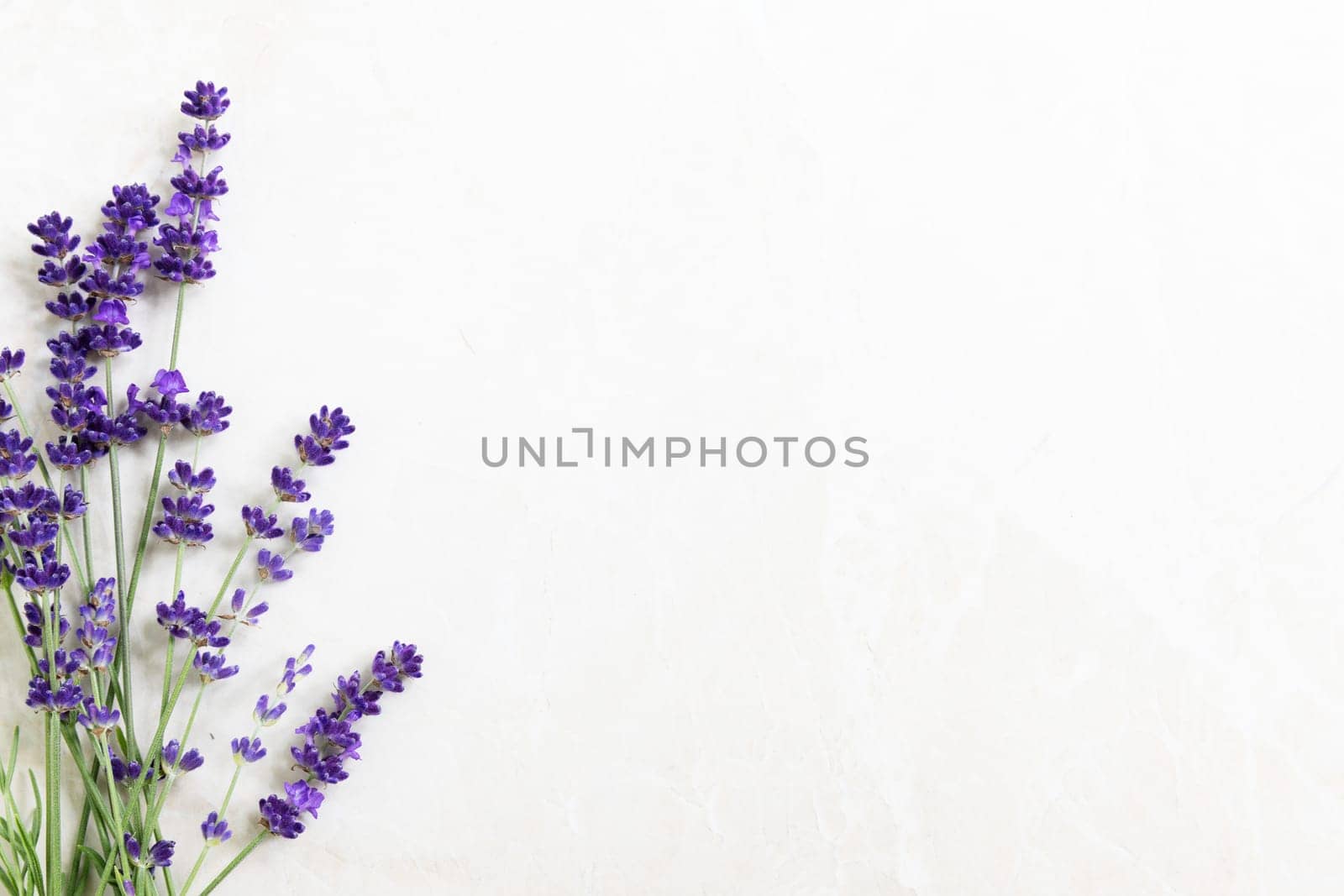 Lavendar flowers on marble surface with copy space.
