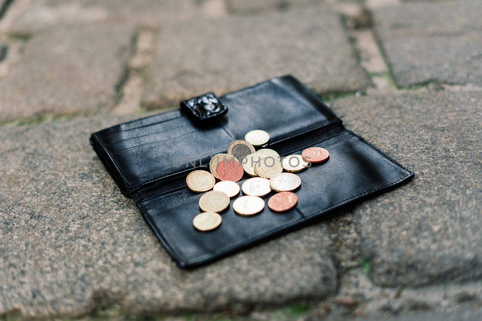 The wallet with coins on a sidewalk street, forgotten money