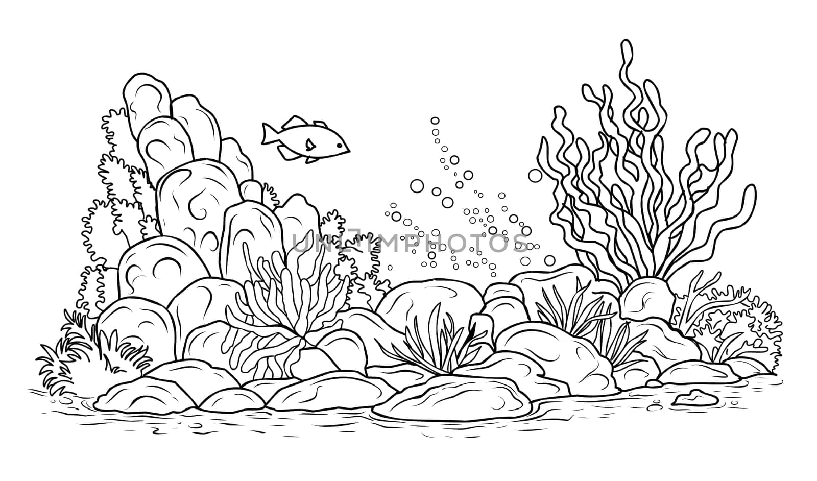 Underwater world coloring page. Coloring page life in the ocean with algae