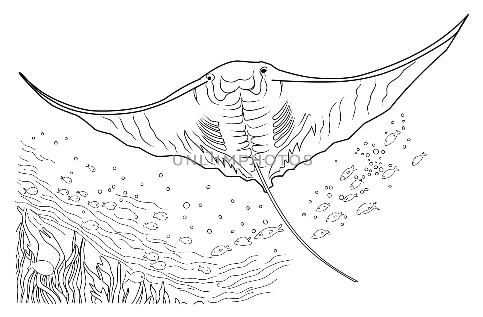 Deep sea manta ray coloring page. cartoon stingray linear illustration for coloring