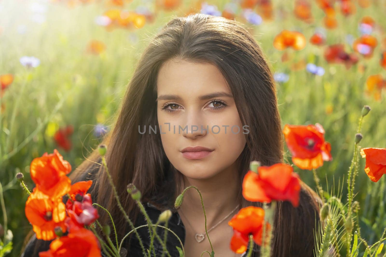 Closeup portrait of atractive long haired  brunette girl posing in red poppies meadow in sunlight. Horizontally.