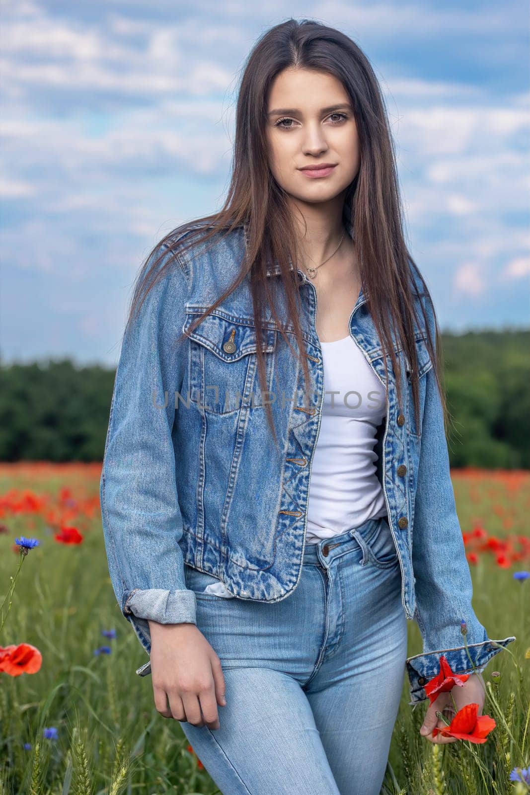 Atractive long haired  brunette girl dressed in blue jeans is standing in red poppies meadow. Vertically.