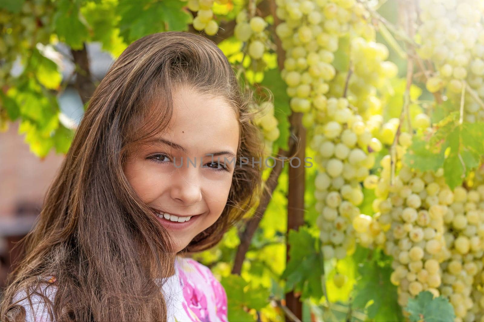 Smiling long haired pretty girl is posing in front of ripe  grapes in sunlight.  Horizontally.