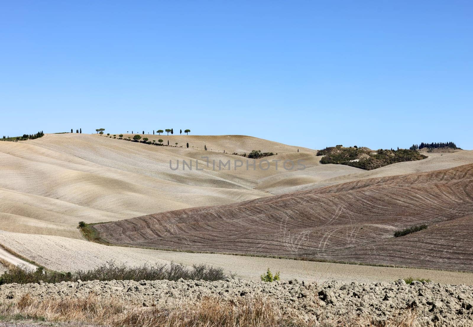 The rural landscape near San Quirico in Tuscany. Italy