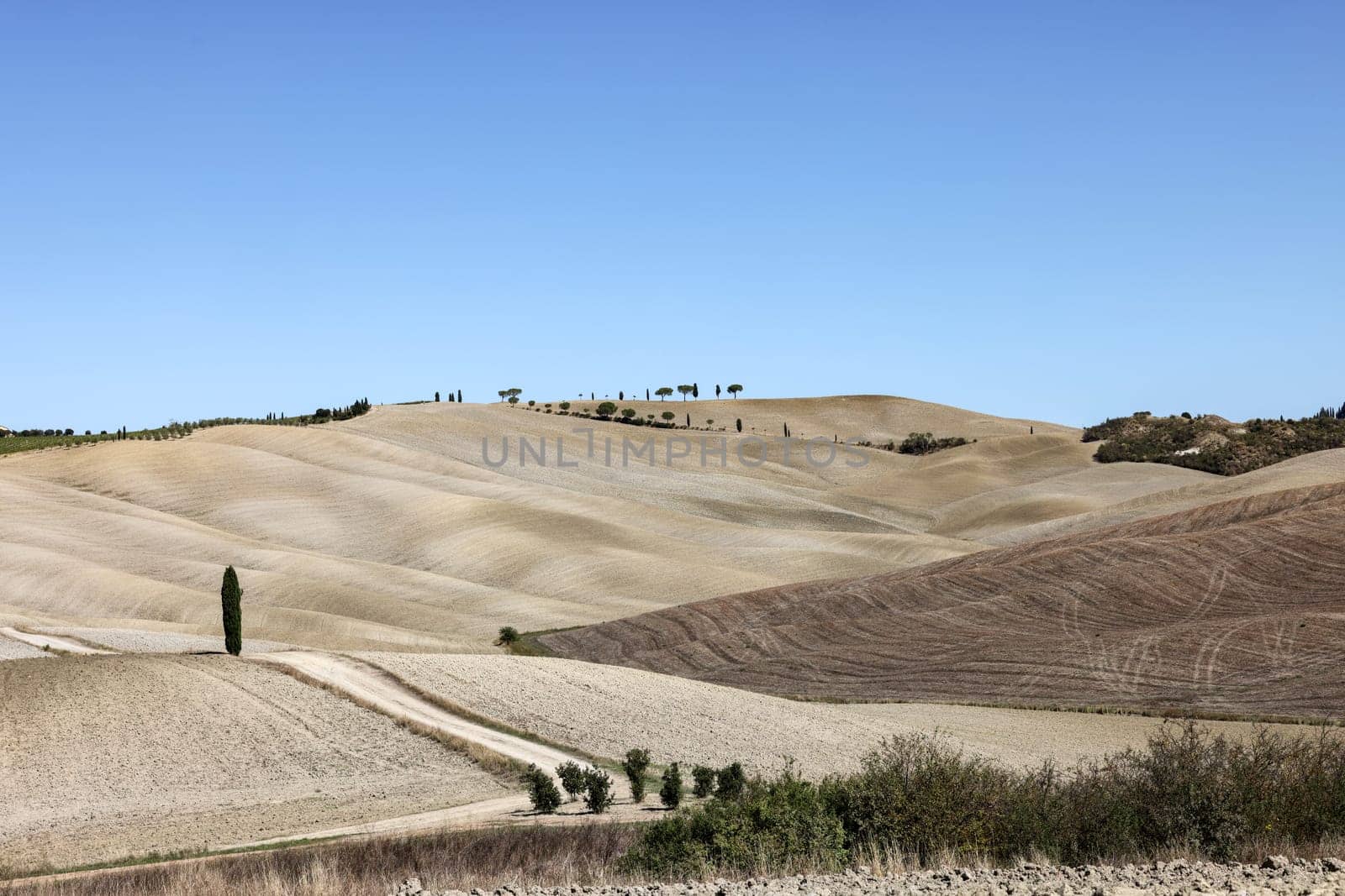 The rural landscape near San Quirico in Tuscany. Italy