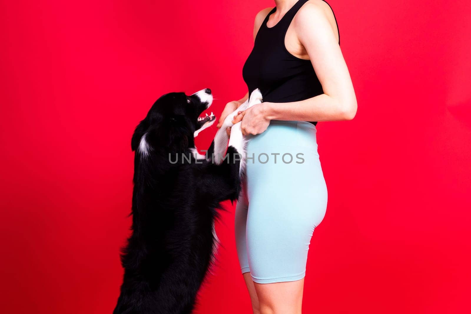 Shot of sport female in leggings with a border collie dog isolated on yellow and red background