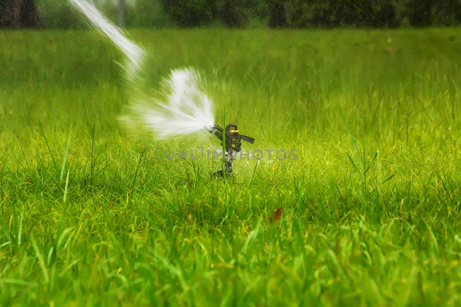 The sprinklers in the park are working.