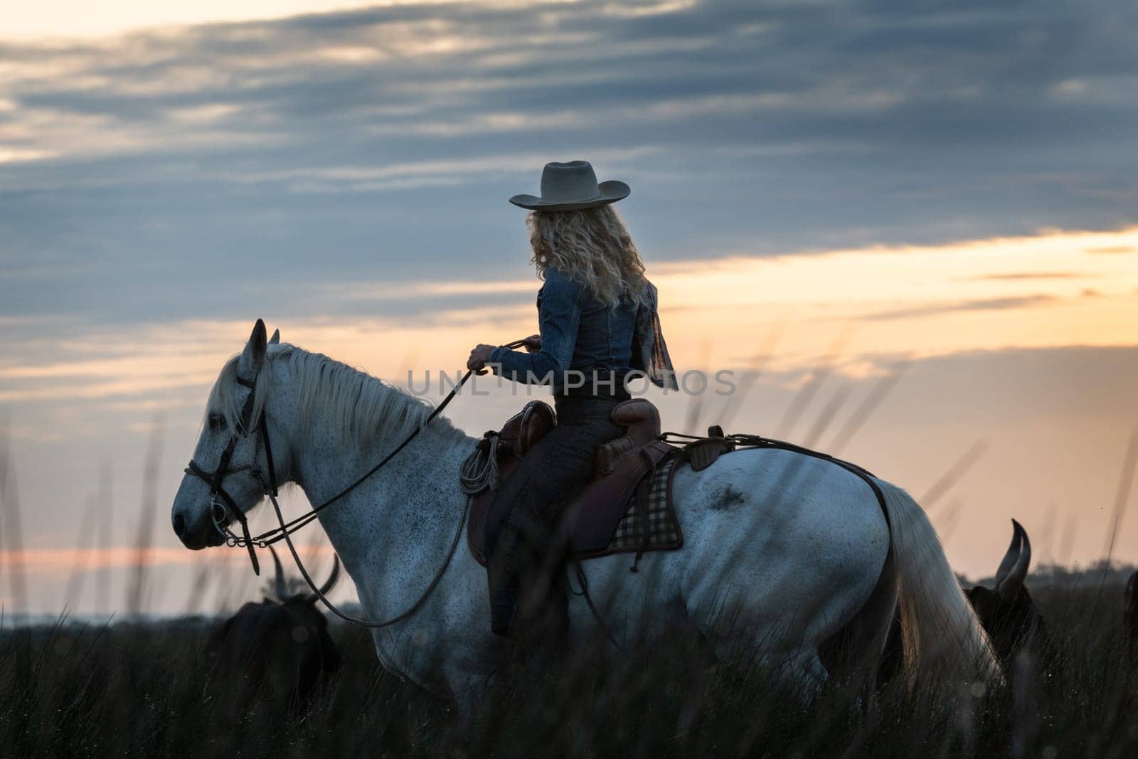 Cowboy carrying a long cattle prod near a herd of bulls, Camargue, France