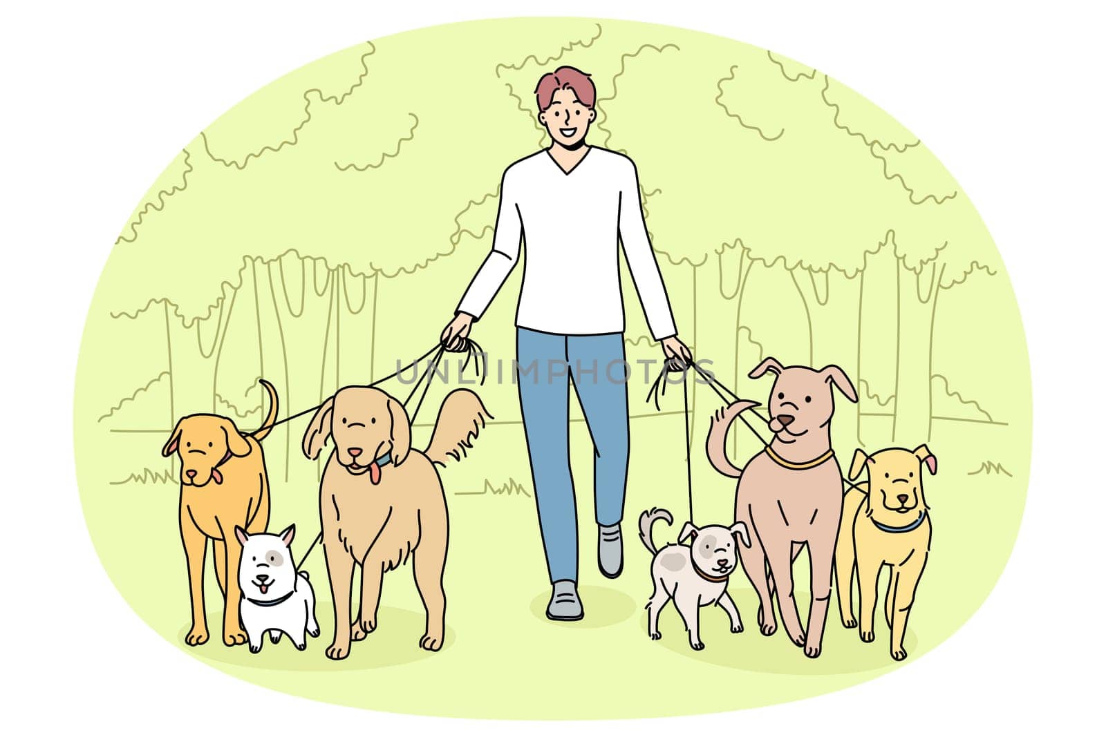 Smiling man walking dogs on leashes in park. Happy male walker provide professional pet walk service. Domestic animals care concept. Flat vector illustration.
