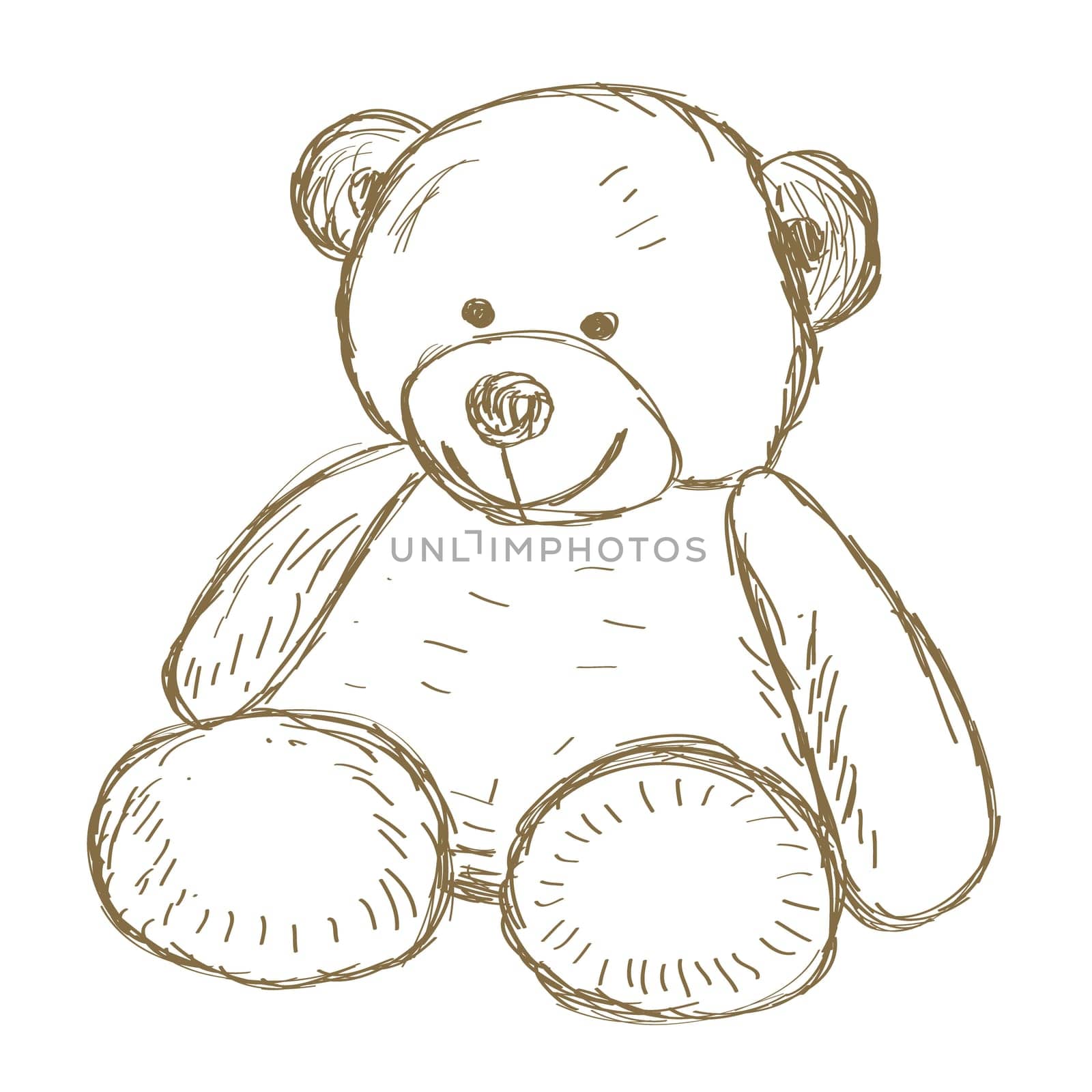 Hand drawn Teddy bear doodle Vector illustration