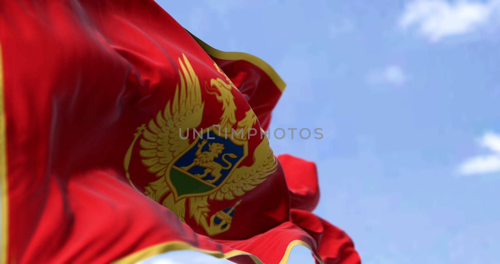 National flag of Montenegro waving in the wind on a clear day. Red with a gold border and has the coat of arms in its center. 3d illustration render, fluttering fabric. Selective focus