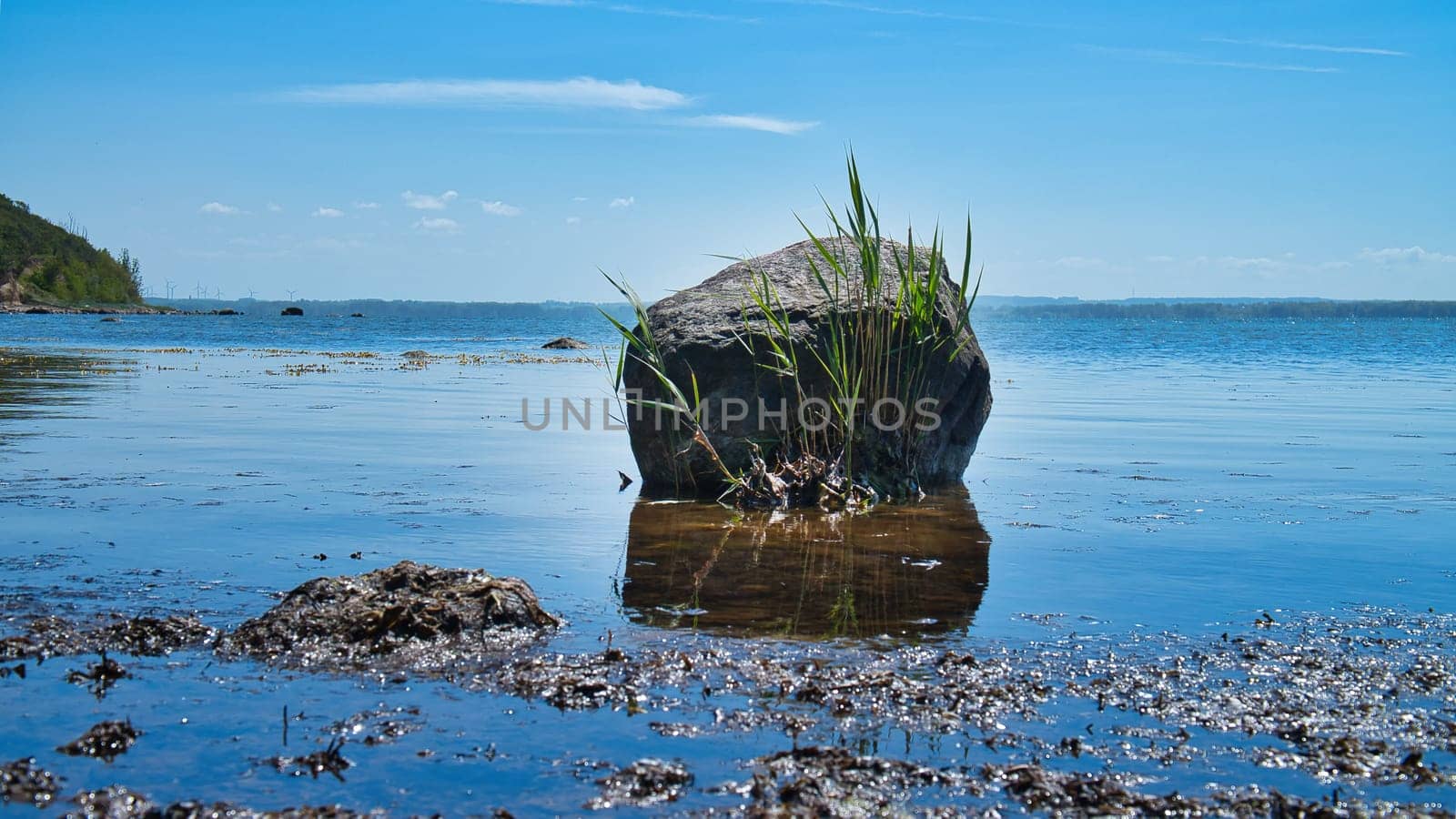 Single rock in the sea with grass. The stone lies in the Baltic Sea in sunshine. Landscape shot from German nature