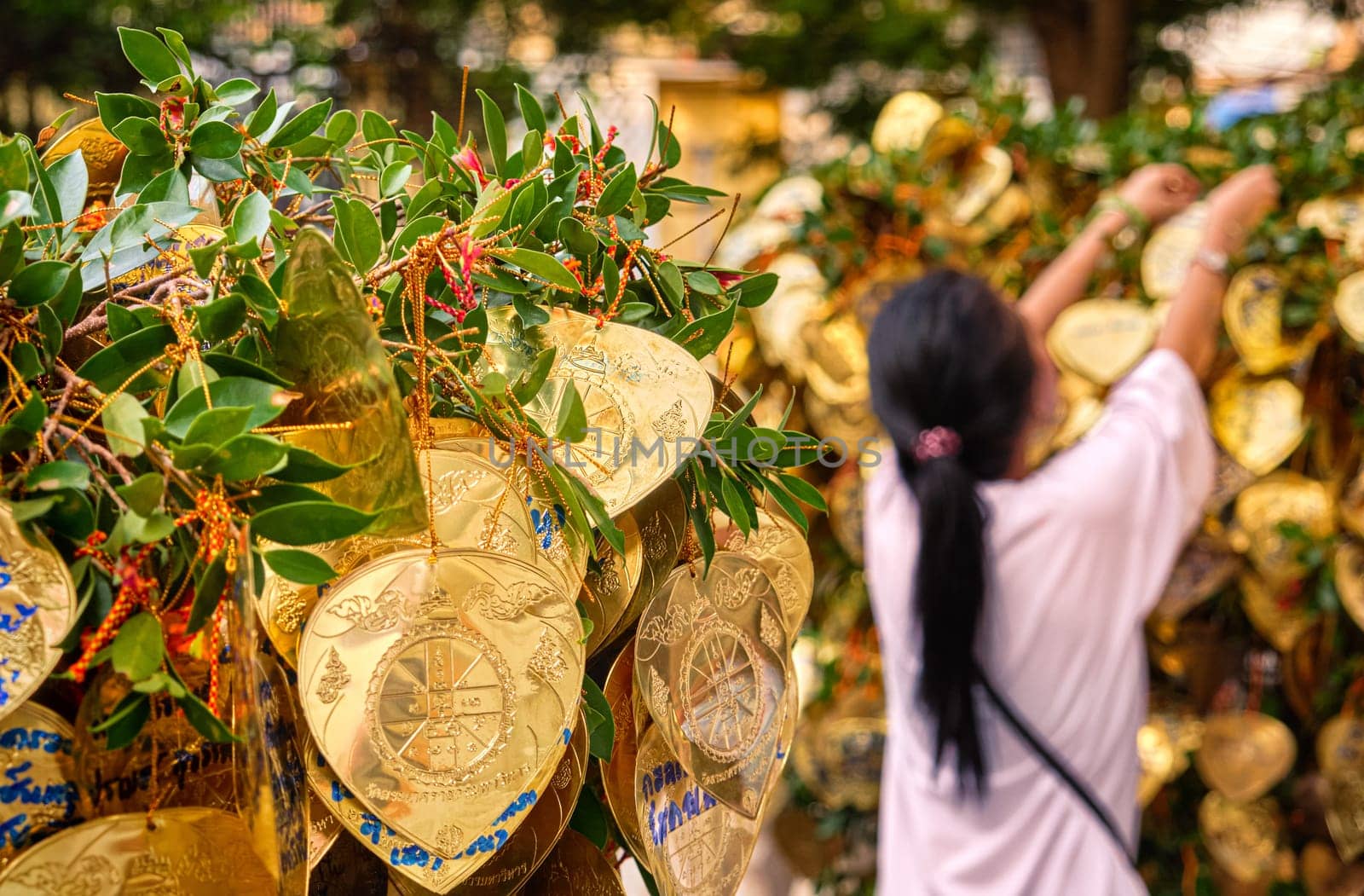 Buddhist golden leaves with wishes and blessings on Bodhi tree in selective focus foreground, female adult in blurred background tying up one leaf to branch. Multi-language handwritten inscriptions, traditional prayer in Buddhism, Thai rituals.