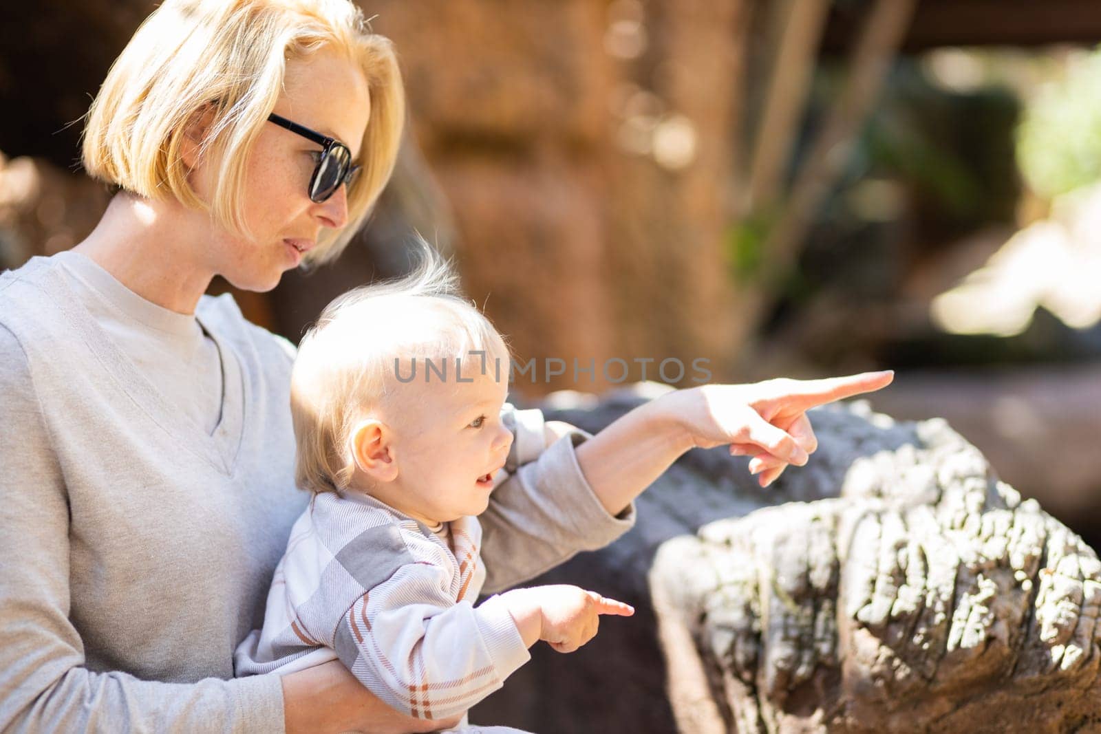 Caucasian blonde mother holding her infant baby boy child in her lap watching crocodile in zoo. Happy family having fun with animals safari park on warm summer day.