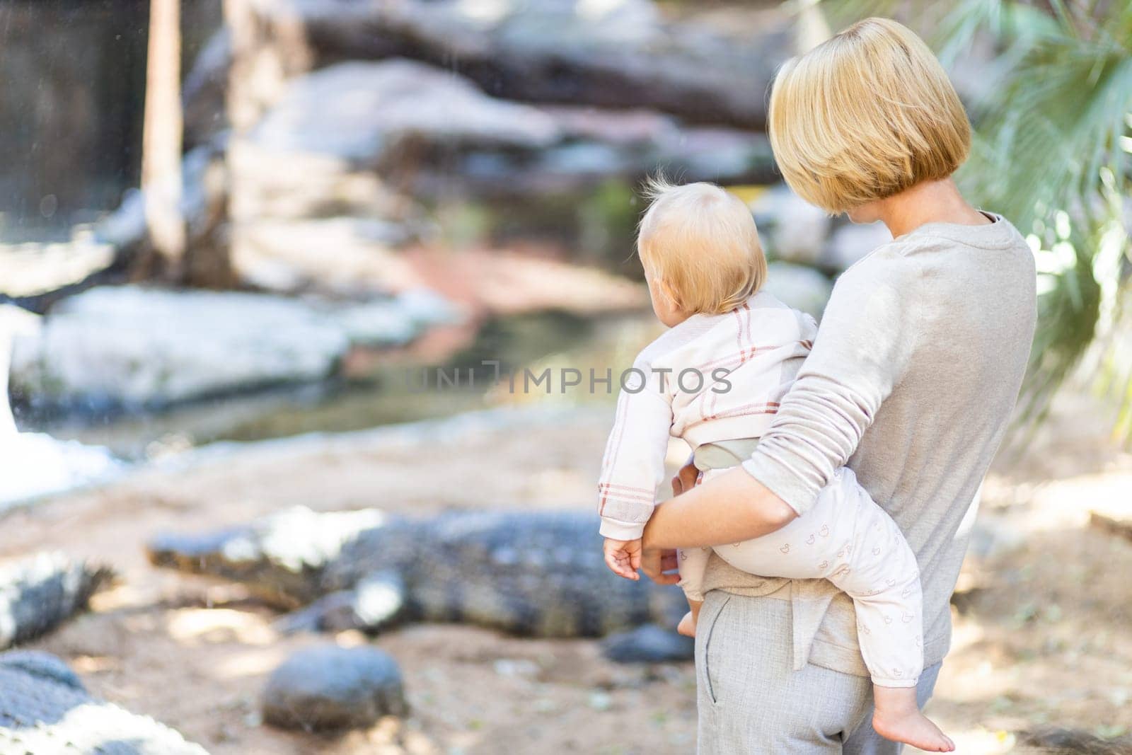 Caucasian blonde mother holding her infant baby boy child in her lap watching crocodile in zoo. Happy family having fun with animals safari park on warm summer day.