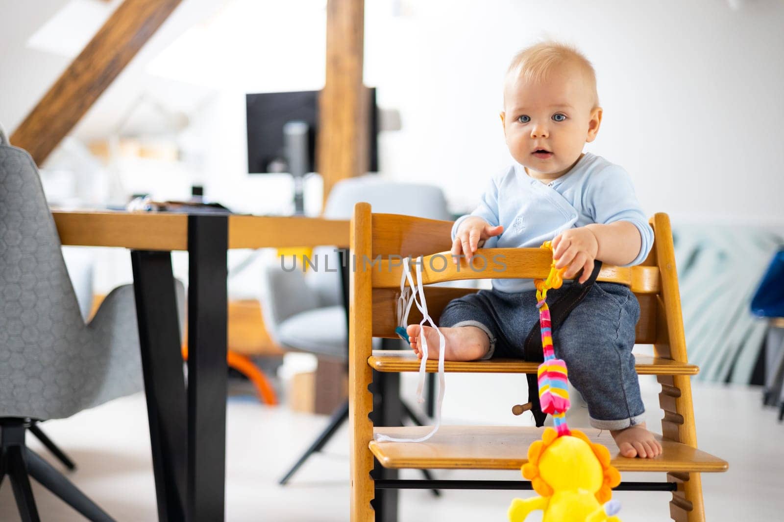 Happy infant sitting and playing with his toy in traditional scandinavian designer wooden high chair in modern bright atic home. Cute baby