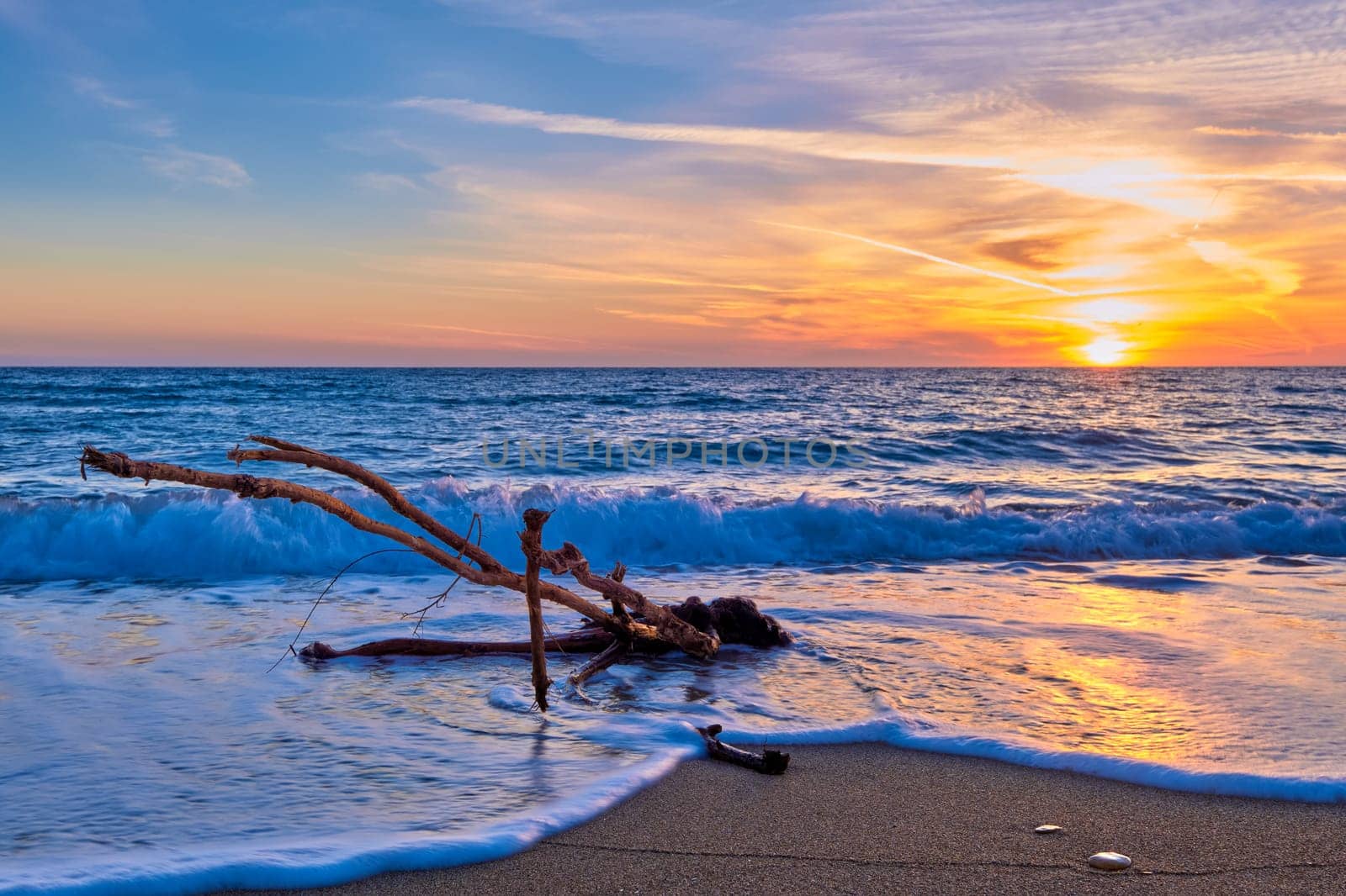 Sunset on sandy beach, piece of driftwood washed by tidal waves. Great sunset sky, sun touch horizon, hazy clouds, golden sand. Unique shaped branch of driftwood in white sea spray. Nature, peace, meditation, relax.