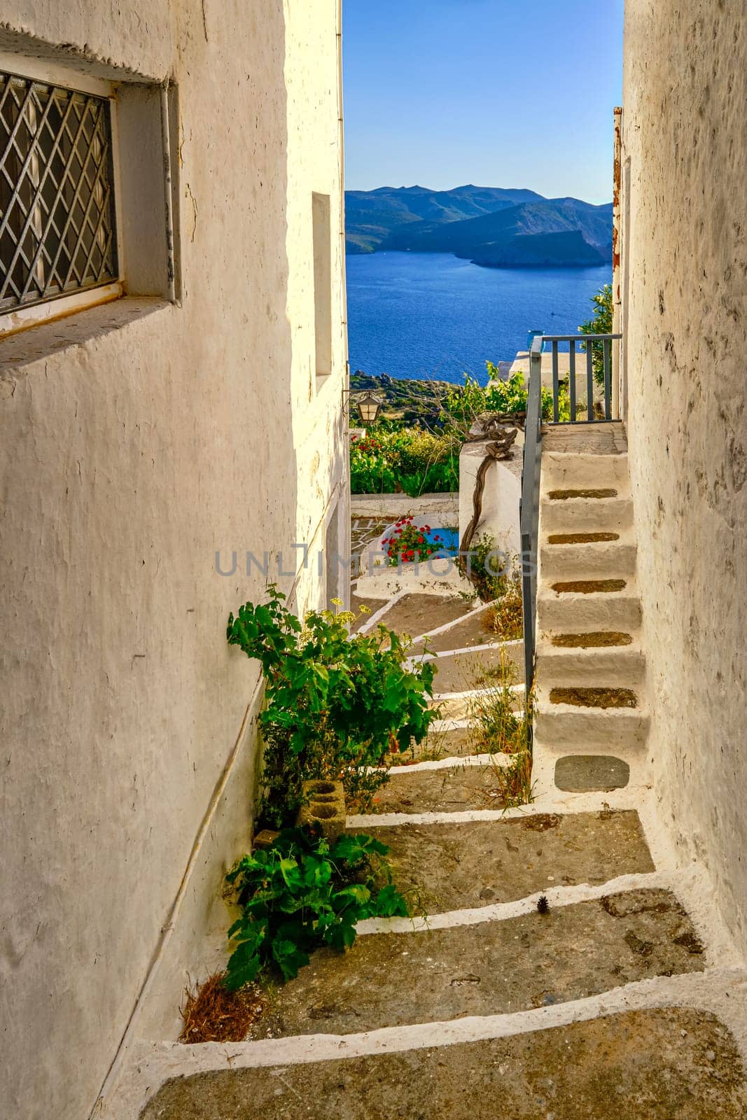 Typical view at sunset in Greek small village by seafront. Whitewashed houses, flower pots, lagoon, vines. Traditional alleyways, summer sunshine, low sun, blue sea waters, distant hills, quiet lifestyle, relax, vacation. Plaka, Milos island, Greece
