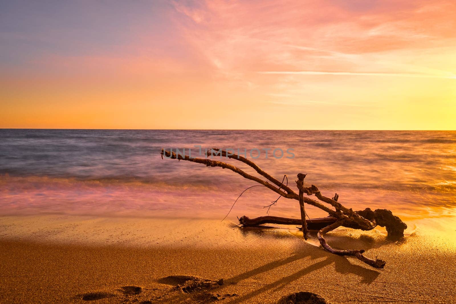 Sunset on sandy beach, piece of driftwood washed by tidal waves. Color-graded image in red, yellow and orange colors. Unique shaped branch of driftwood in long exposure tide. Nature, peace, meditation, relax.