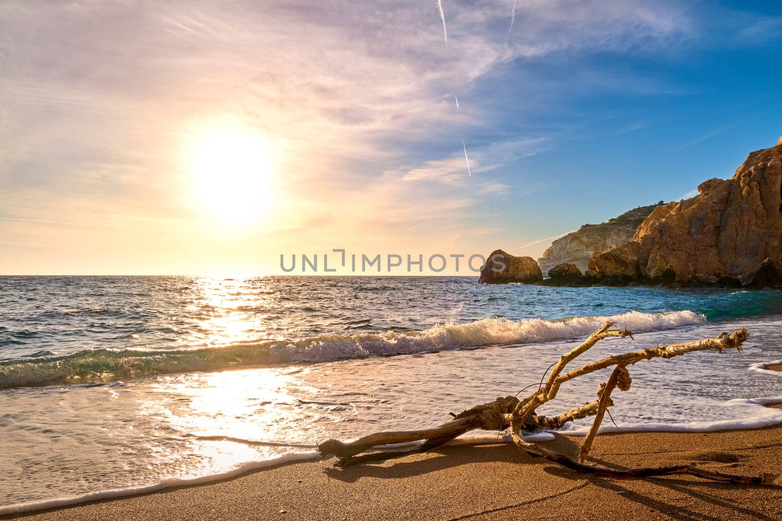 Sunset on sandy beach, piece of driftwood washed by tidal waves. Big low sun, sun flares on sea waters, hazy clouds, golden sand, rocky cliffs. Unique shaped branch of driftwood in white sea spray. Nature, peace, meditation, relax.