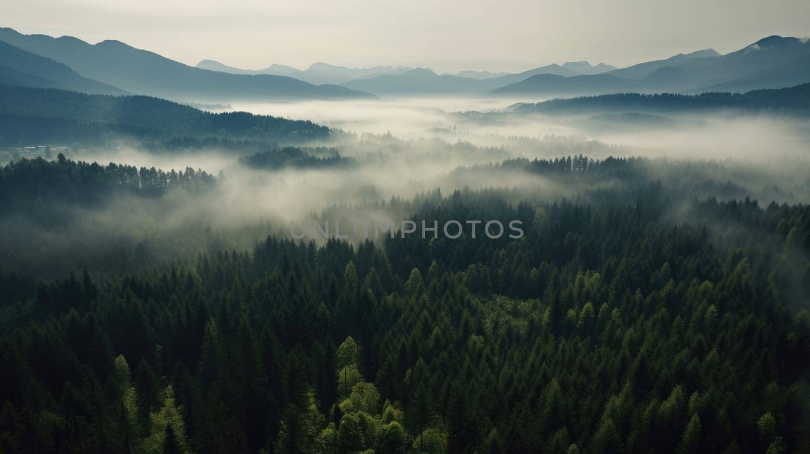 Misty foggy mountain landscape with forest. Generative AI