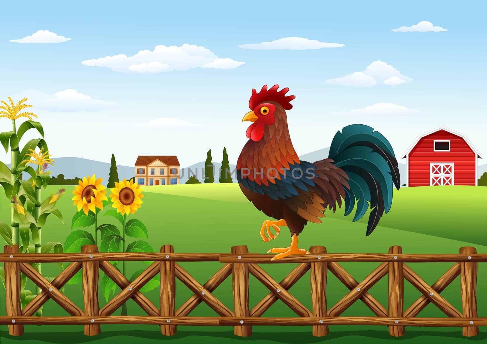Cartoon rooster crowing at farm field in the morning with sun rising
