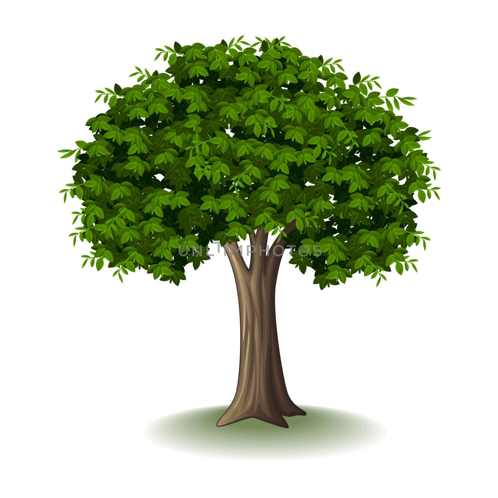 Illustration of a tree isolated on white background