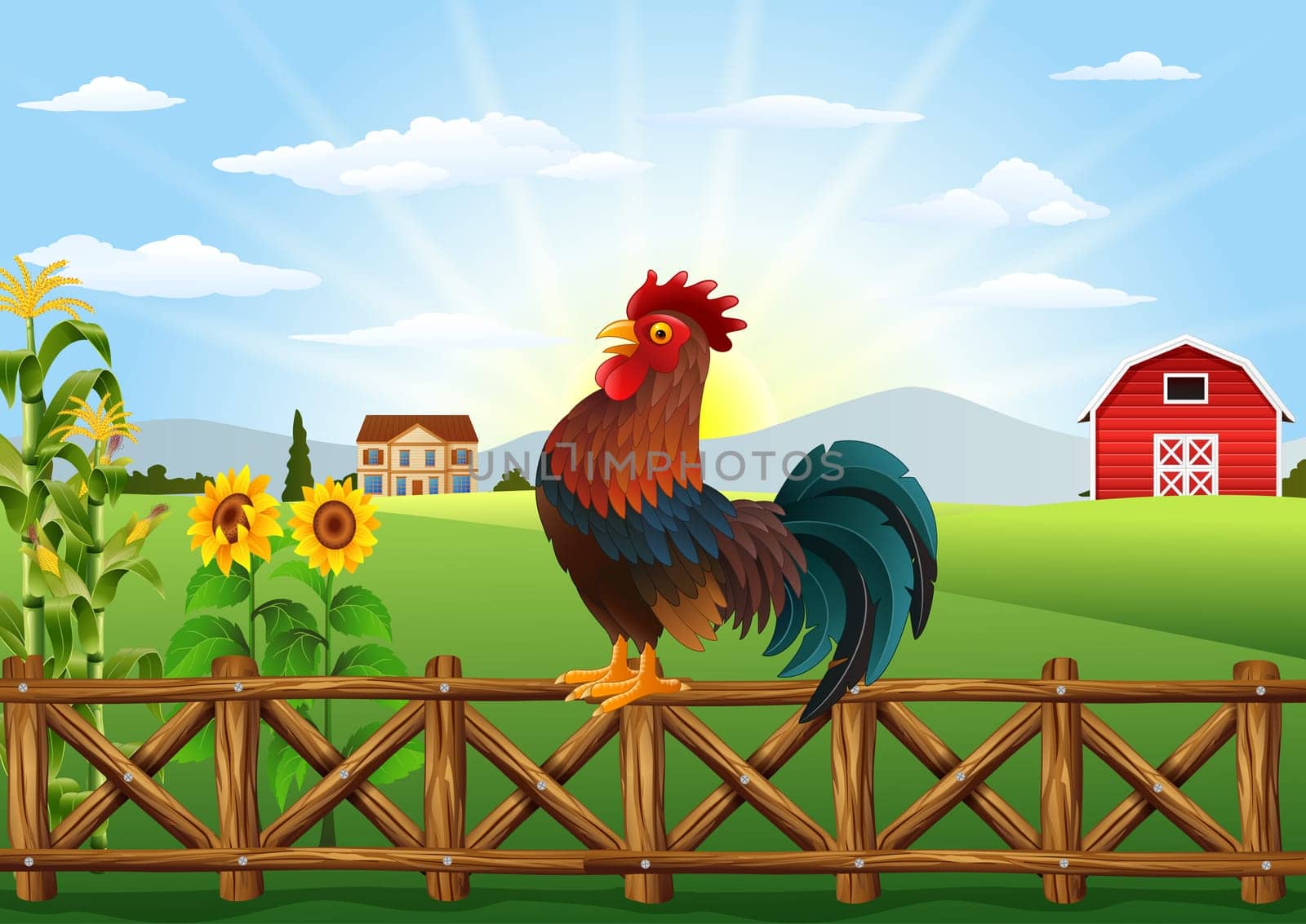 Cartoon rooster crowing at farm field in the morning with sun rising