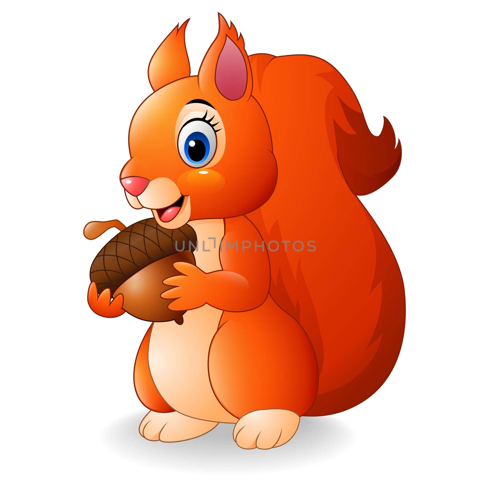 Cartoon adorable squirrel