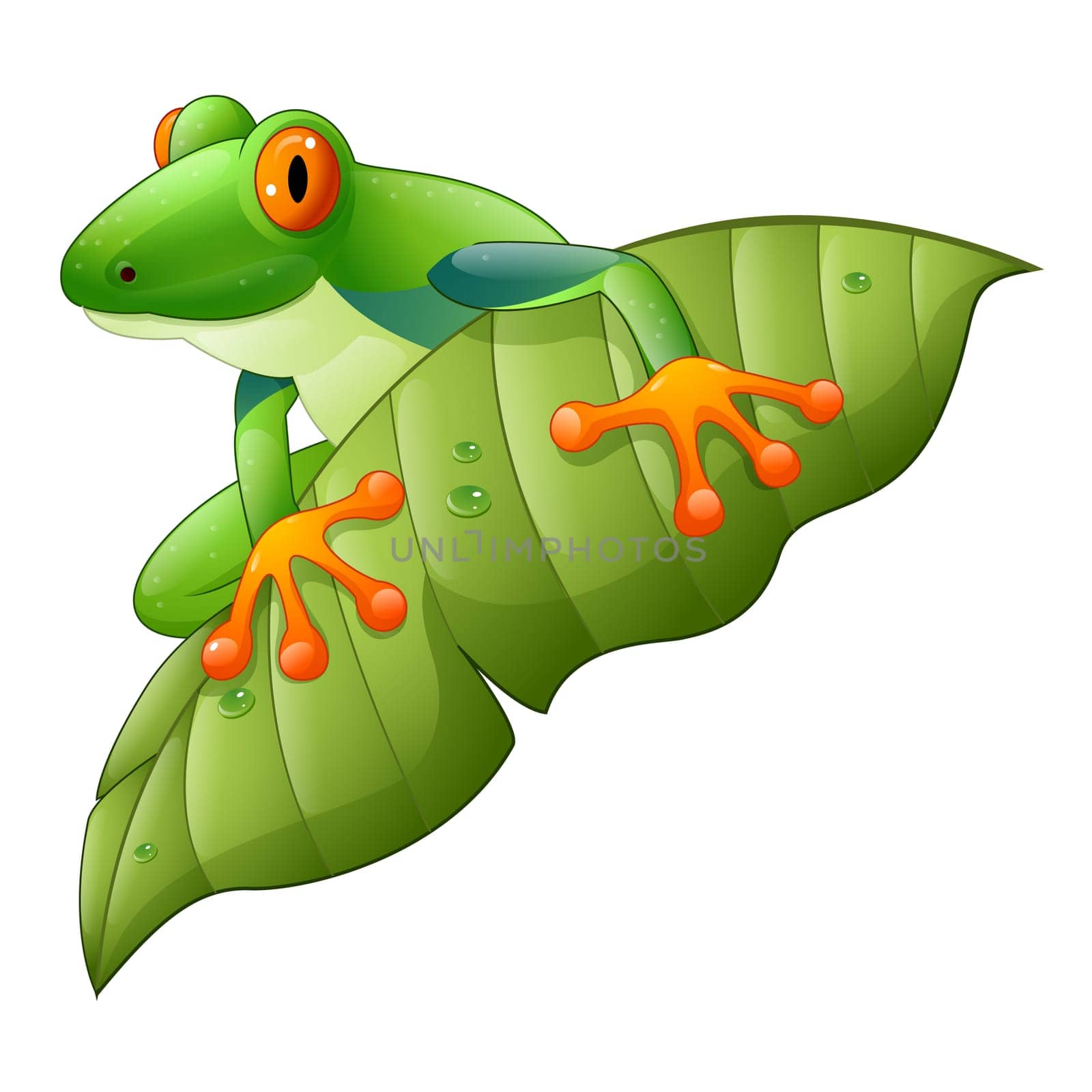 Cartoon red-Eyed Amazon Tree Frog on green leaf