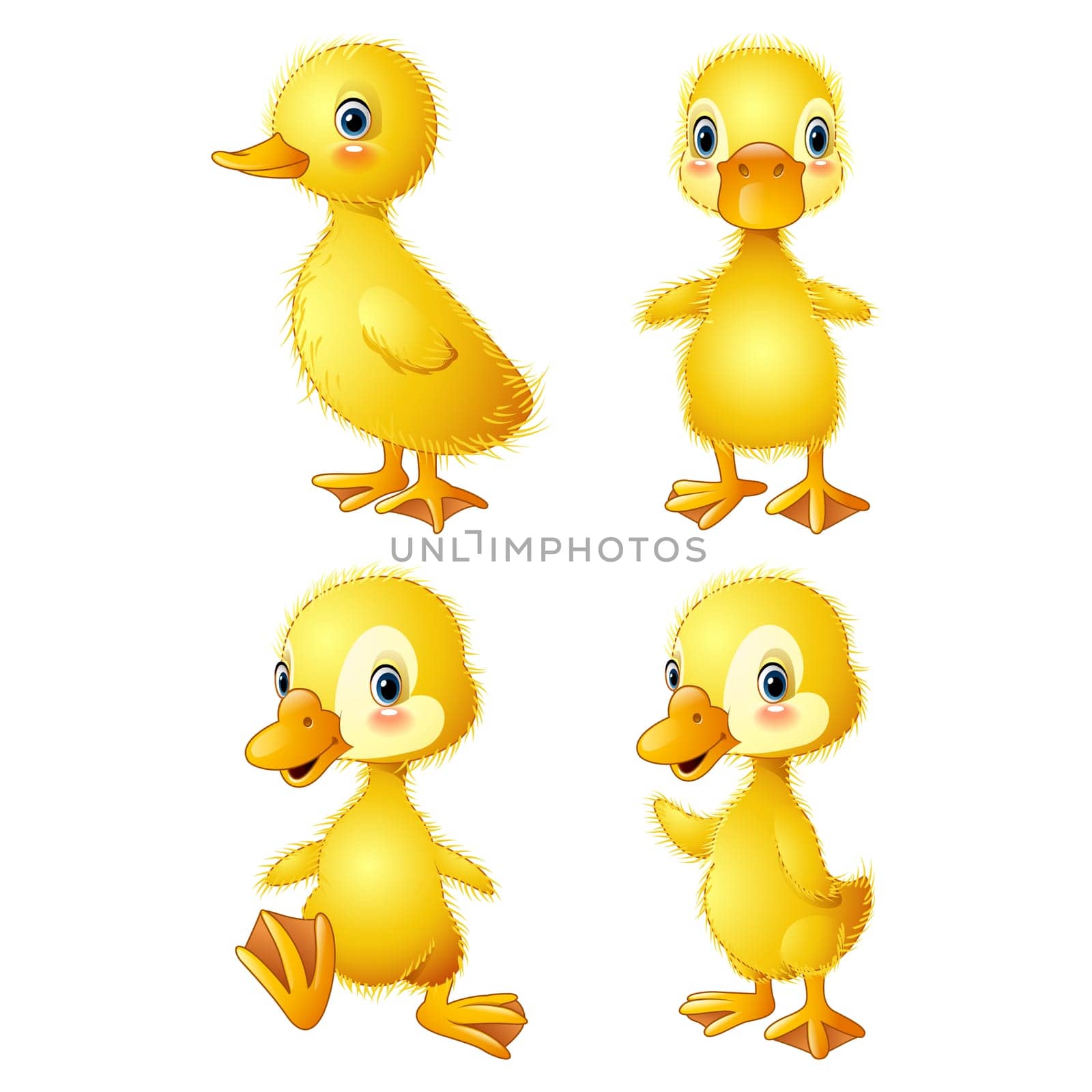 Funny duck collection set