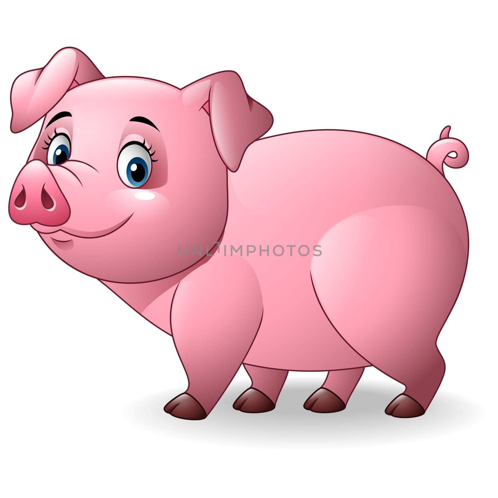 Cartoon pig isolated on white background