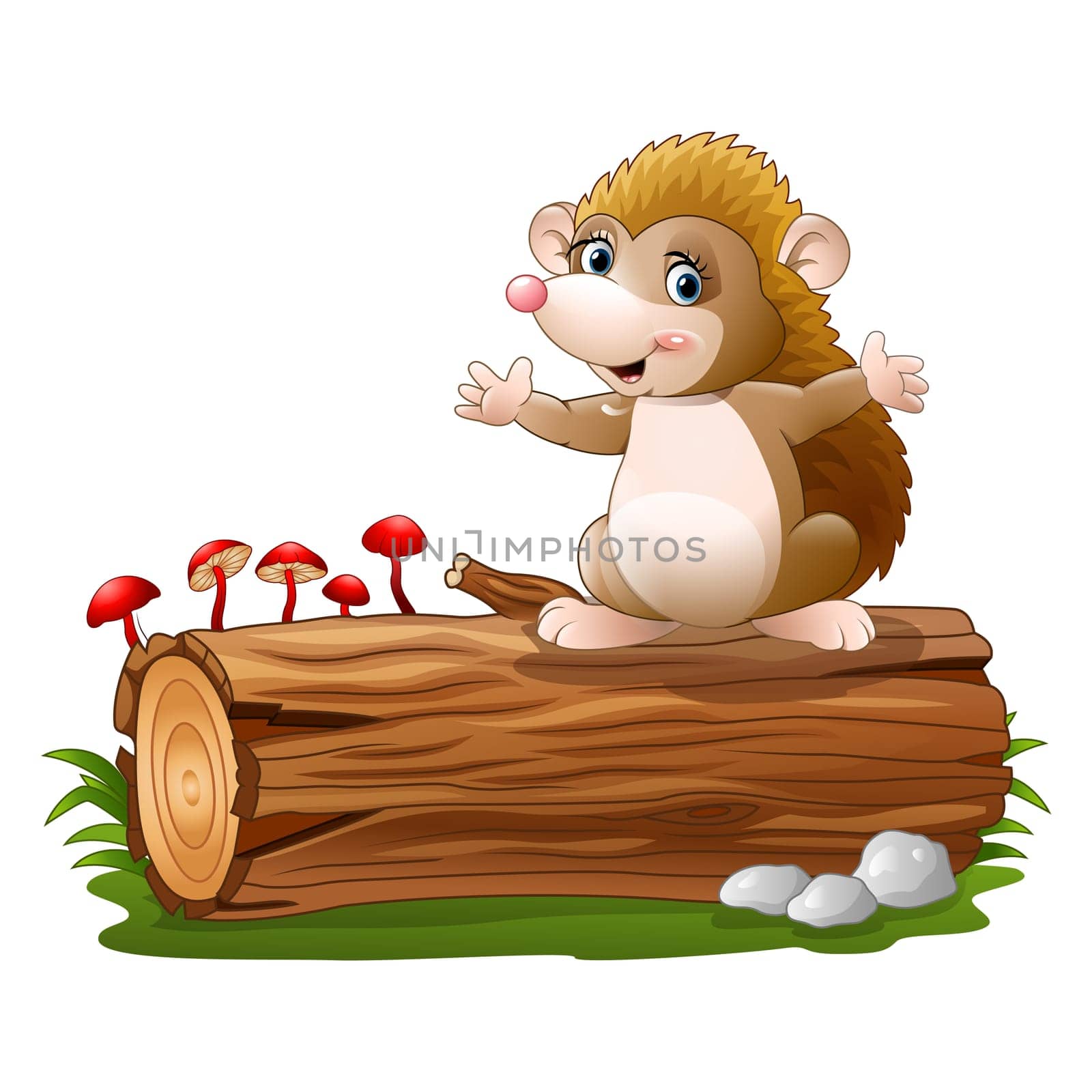 Cute hedgehog cartoon