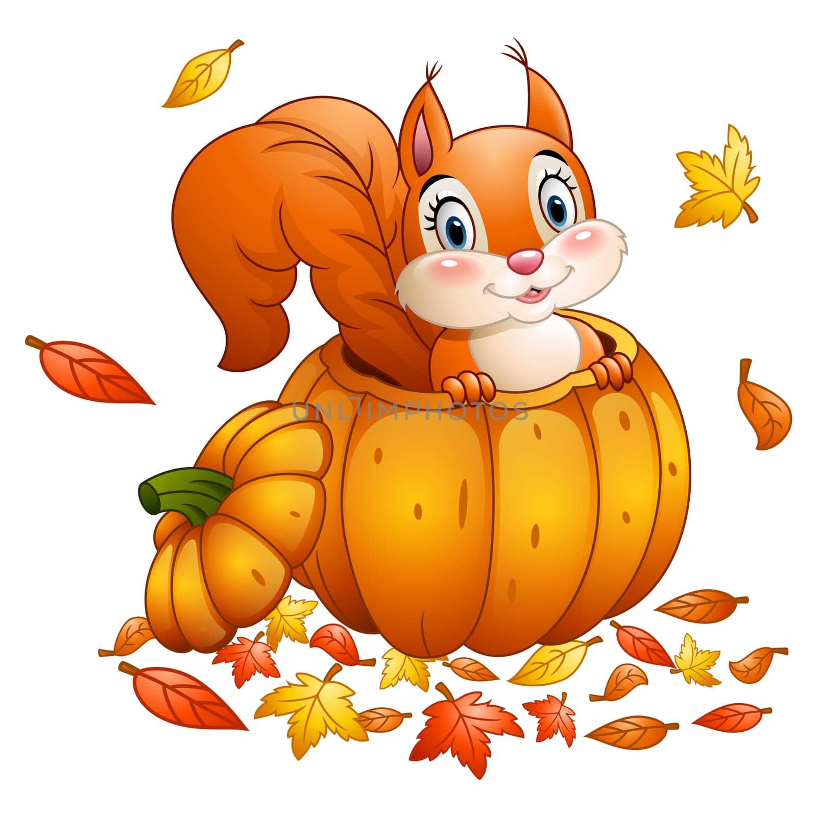 Cute squirrel in a pumpkin