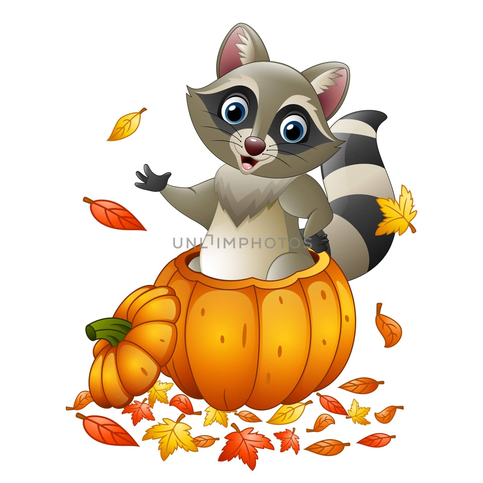 Cartoon raccoon in a pumpkin