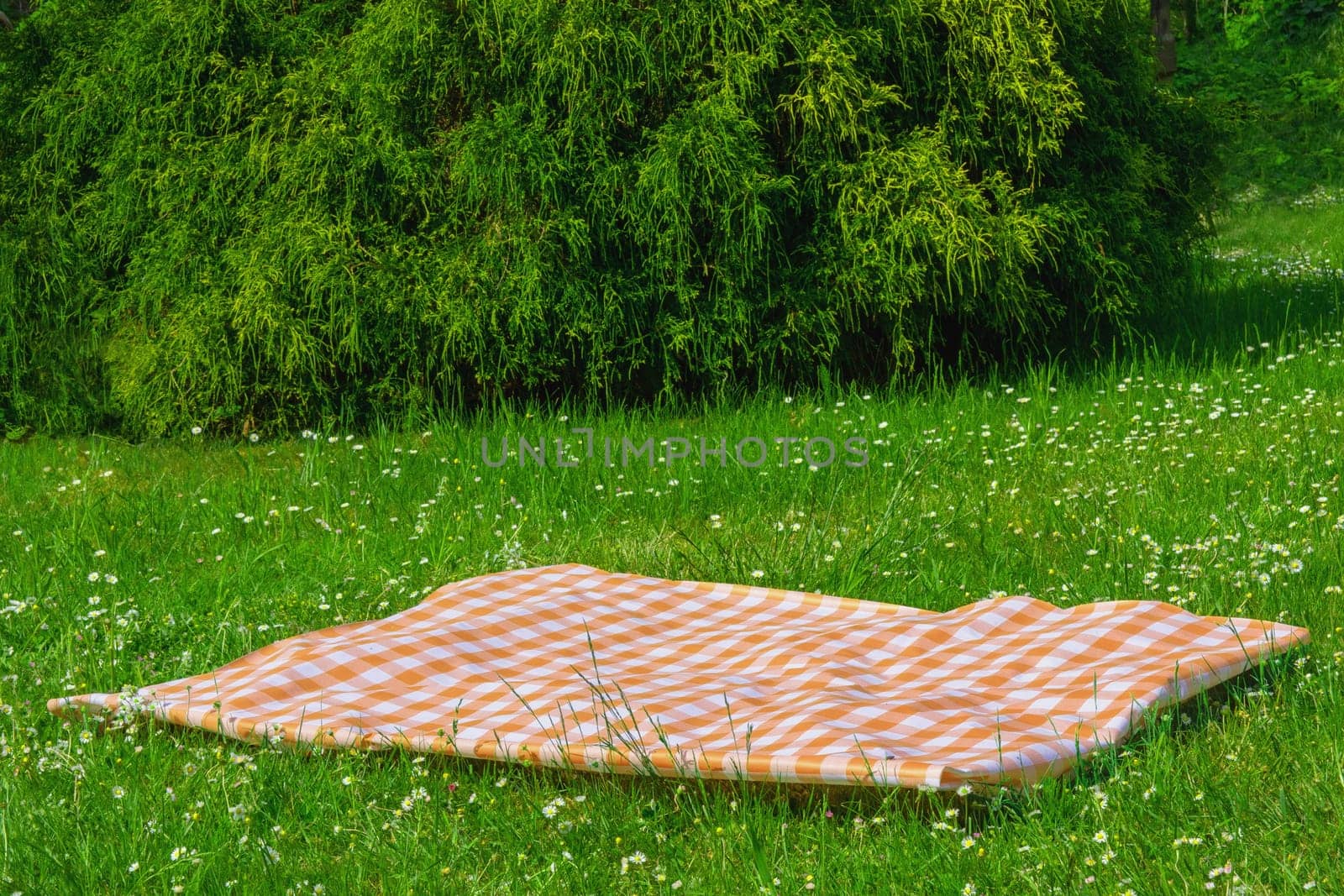 Orange picnic blanket. Yellow checkered picnic cloth on a flowering meadow with daisy flowers. Beautiful backdrop for your product placement or montage.