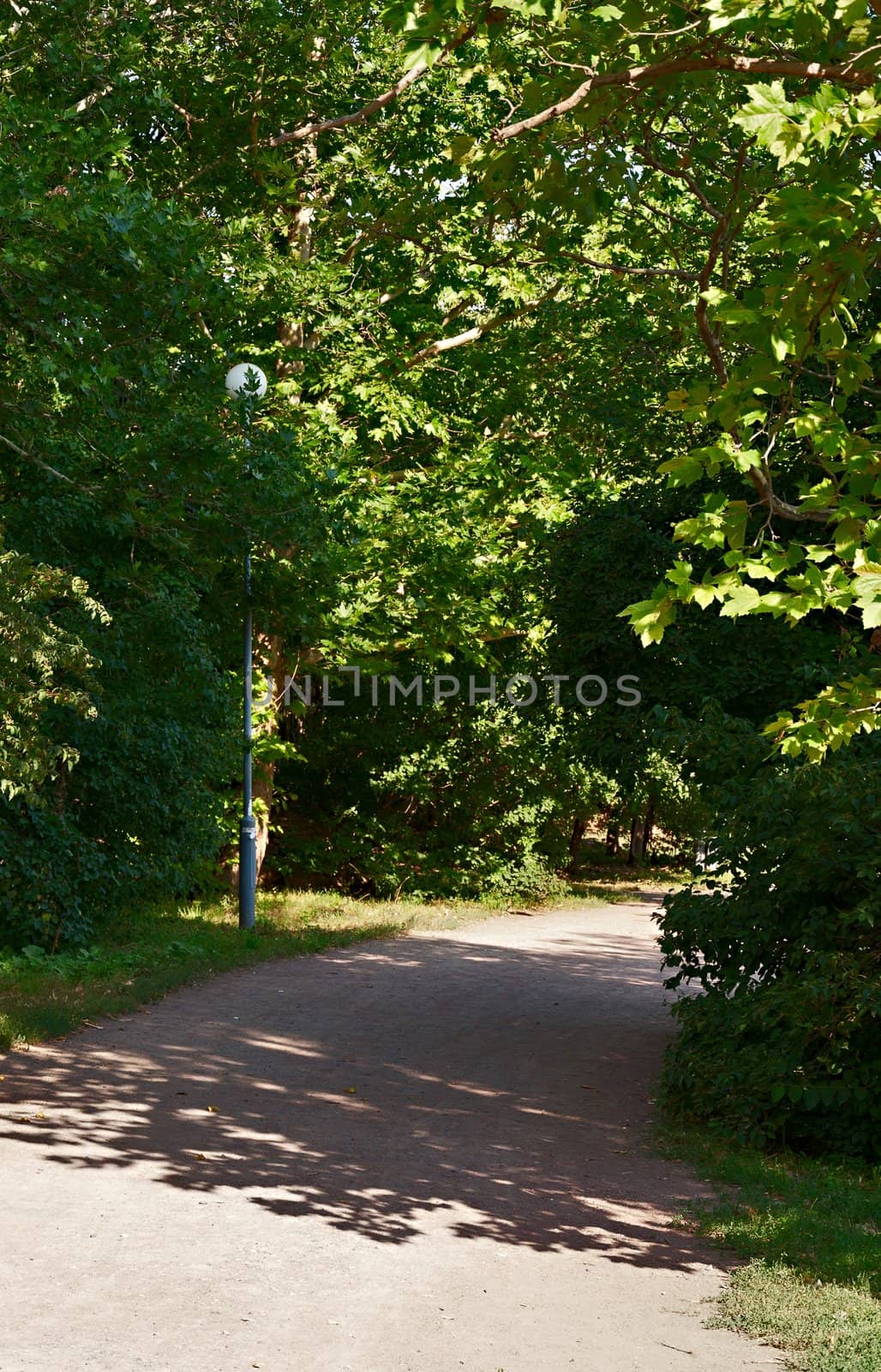 Trail in the city Victory park. Odessa. Ukraine.