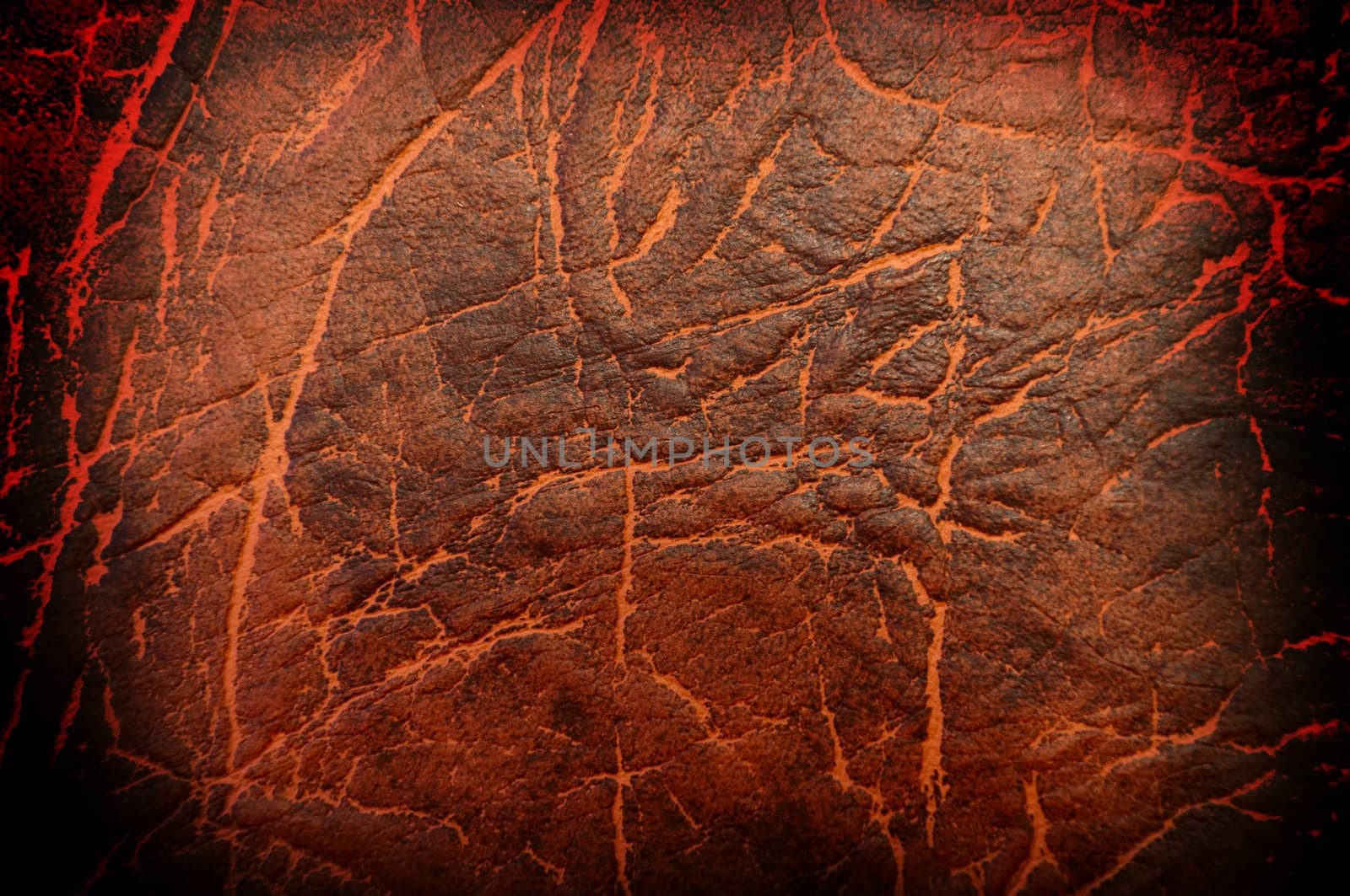 Background/texture - rawhide, with dark borders