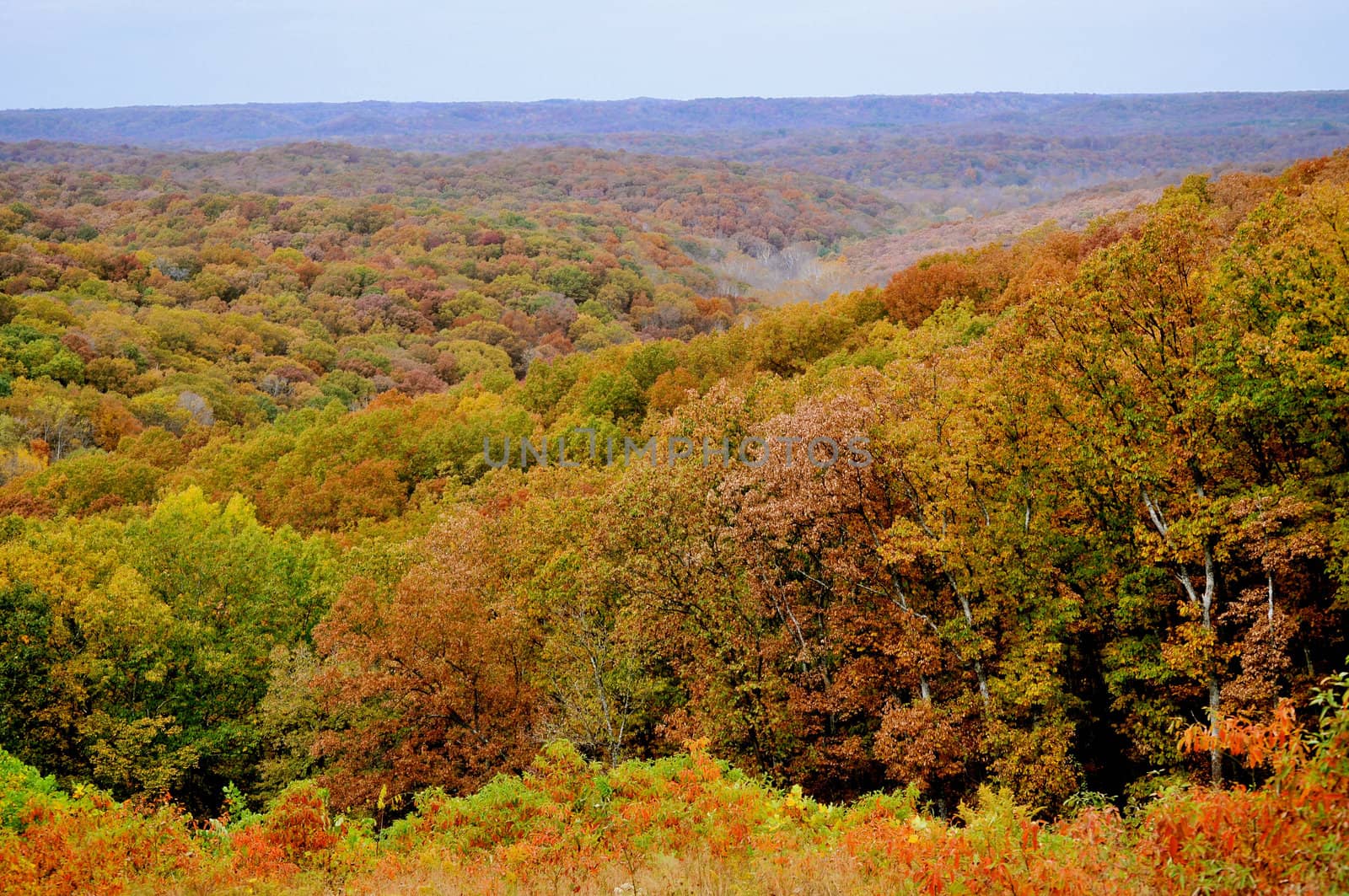 Brown County State Park